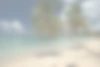 Martinique - Plage de sable blanc