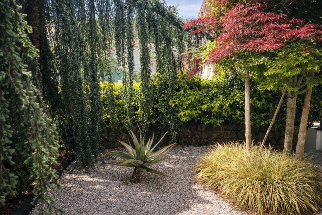 Jardín de un alojamiento familiar Holibai