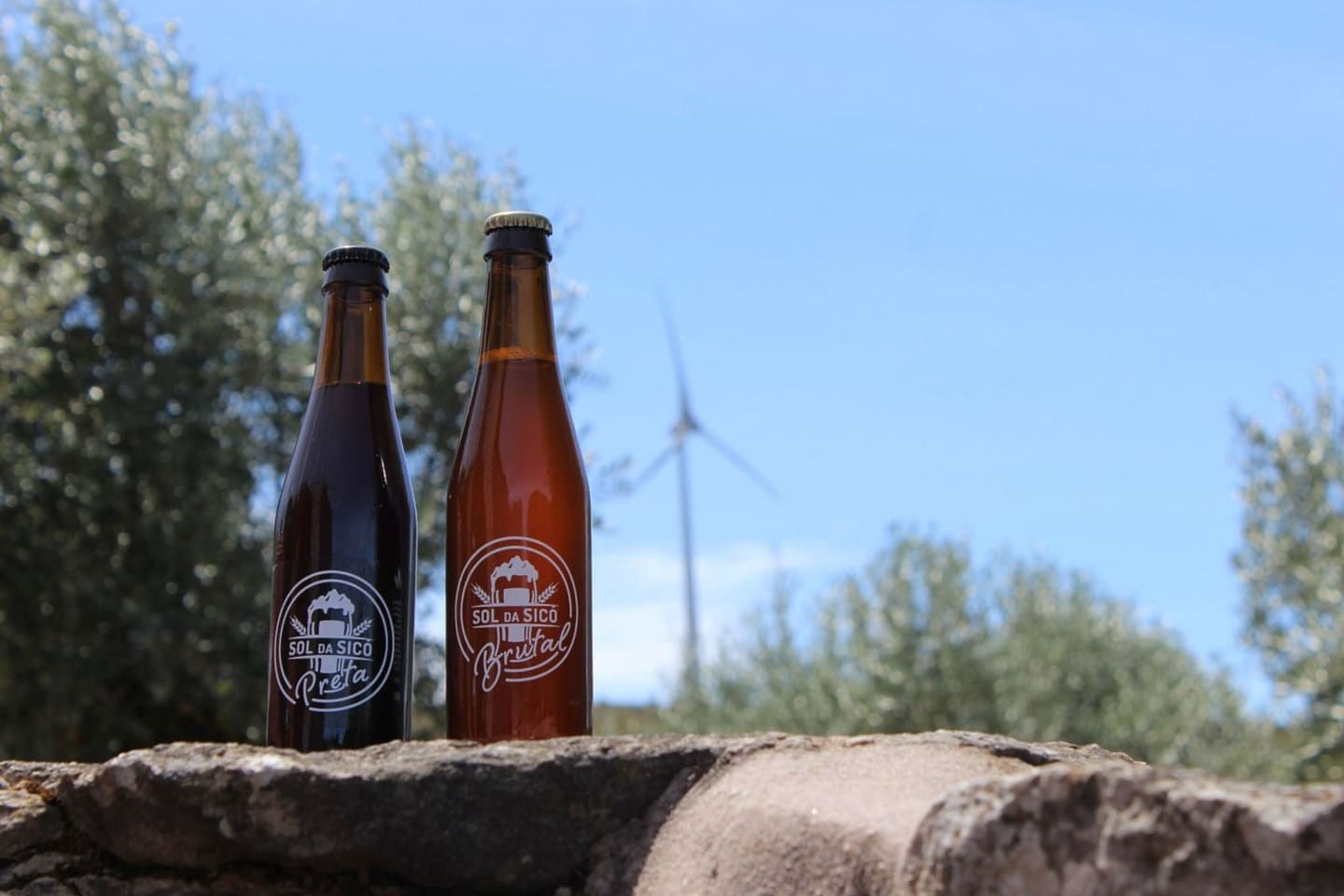 Sabores da região — cerveja e enchidos artesanais