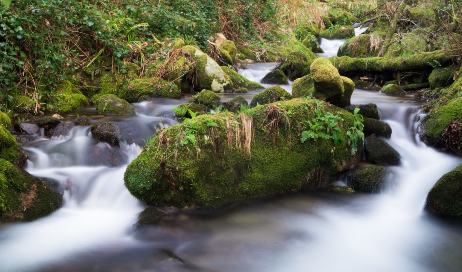 Naturaleza y paisaje en Gondomar
