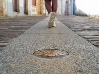 Continuar el Camino desde Baiona hacia Nigrán Vigo o Redondela
