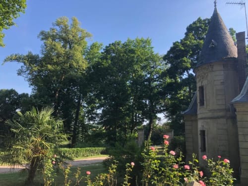 Château de Vaux Morvan, chaumière avec tour, fleurs roses et jardins verdoyants à Étang sur Arroux