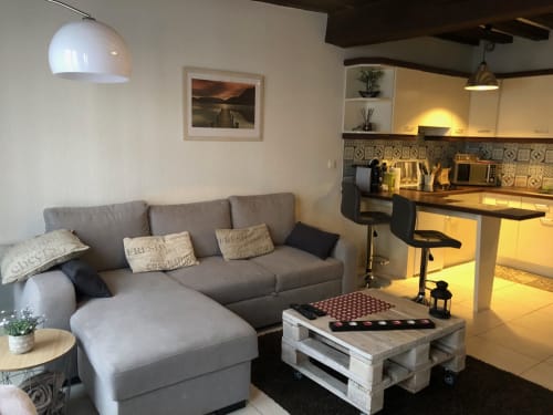 Petit studio moderne à Troyes avec canapé gris, kitchenette et table basse en palette bois