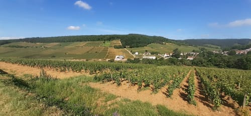Location de vacances proche vignoble - Nuits-Saint-George | Gîte l'Orée de Nuits