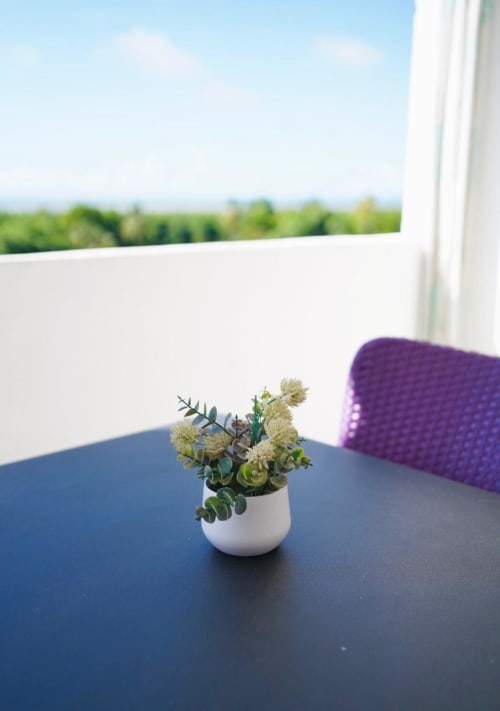 Petite plante en pot aux fleurs jaunes sur la table du balcon, vue sur le paysage verdoyant à Maisons En Or, Cayenne