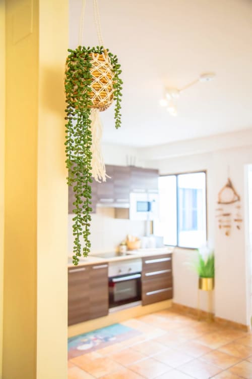 Cuisine lumineuse chez Sara & Gino Fuerteventura avec plante succulente suspendue, électroménagers modernes et armoires en bois à Corralejo