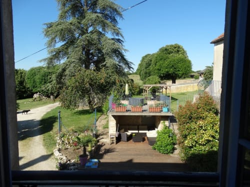 The cedar right in the middle of the wooded park - B&B Girolles les Forges in Burgundy