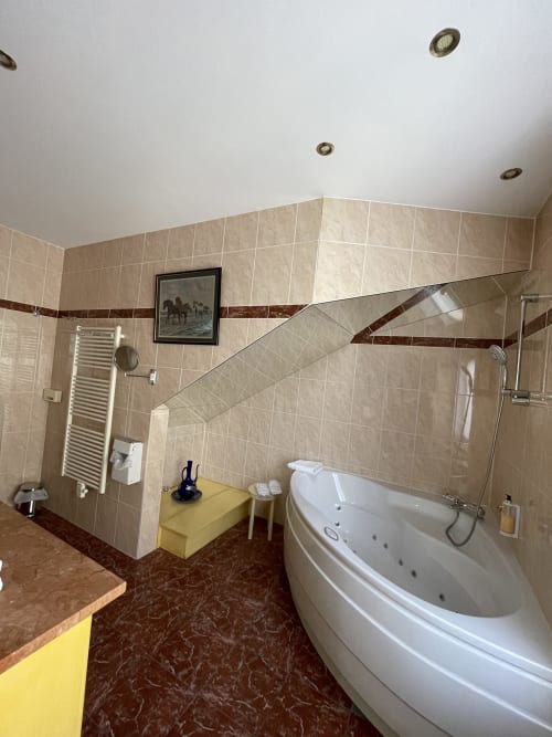 Hôtel Les Reflets Jaunes - Suite Exécutive avec baignoire spa - Givet