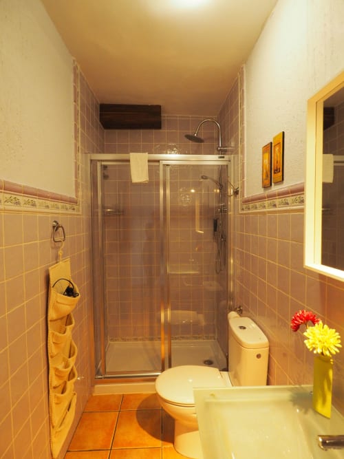 Baño moderno en apartamento Rural Senda del Duratón con ducha abierta, inodoro y azulejos cálidos en tonos de terracota