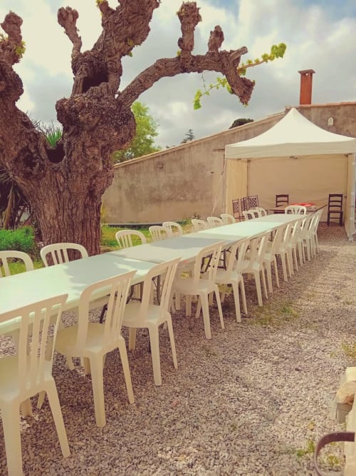 Espace de dîner en plein air chez Laure & Marc à Plaissan avec tables longues, chaises crème et vieil olivier noueux