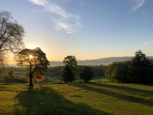 Vue pittoresque du jardin du Château de Vaux Morvan avec ses champs verdoyants, arbres majestueux et lever de soleil doré sur l'étang
