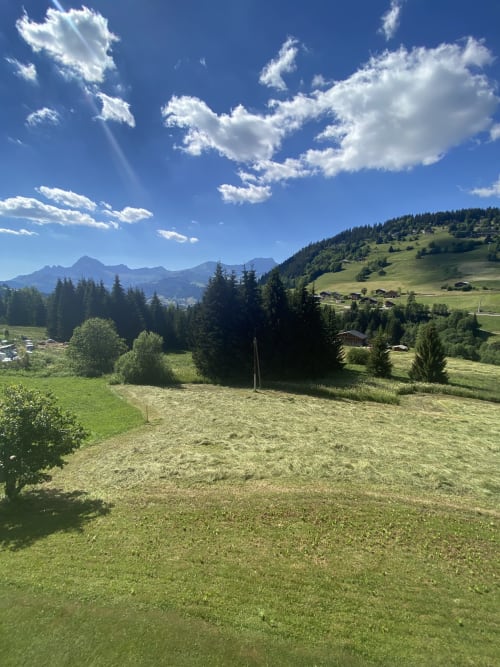Vue de la vallée alpine depuis La Ferme des Georgières avec prairies verdoyantes, pics montagneux et chalets traditionnels