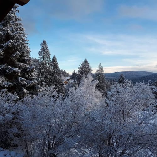 Location studio montagne - Les Vosges | Gérardmer Xonrupt Chalets