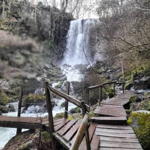 Promenade en bois avec rampe menant à une cascade dans le paysage forestier près de Bergerac