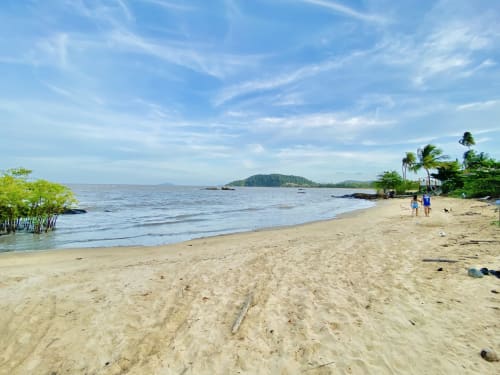 Plage de sable blanc avec eaux turquoise, palmiers et vue tropicale près de l'appartement à Cayenne