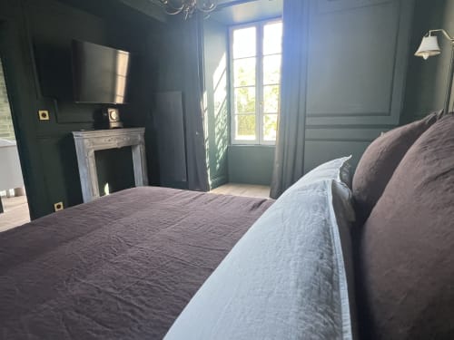 Chambre élégante aux murs vert foncé, cheminée, téléviseur et vue sur le jardin à La Millière en Vendée
