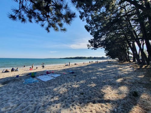 Sandy beach with turquoise waters, large trees, and beachgoers at La Fôret-Fouesnant vacation rental