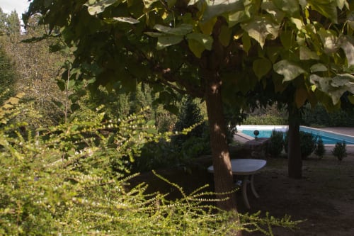Vue du jardin aux Chambres d'hôtes Les Pratges à Figeac, zone ombragée près de la piscine