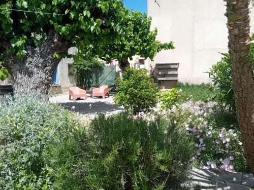 Terrasse ensoleillée du gîte Chez Laure & Marc à Plaissan, avec fleurs épanouies, arbres matures et transats rose