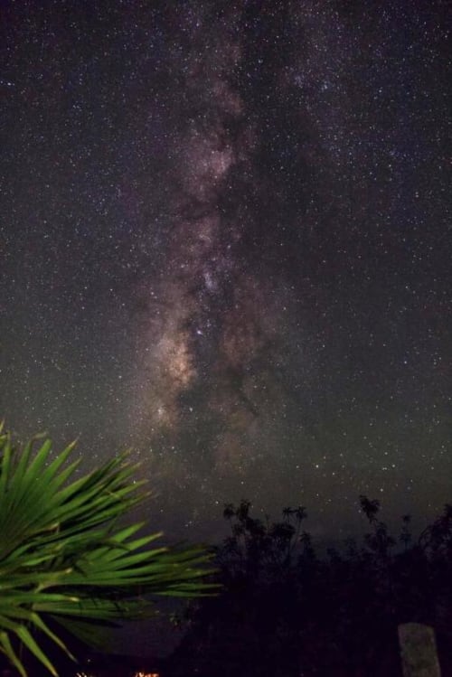 La Vía Láctea se extiende sobre el cielo nocturno por encima de la vegetación tropical en Villa El Topo, La Palma