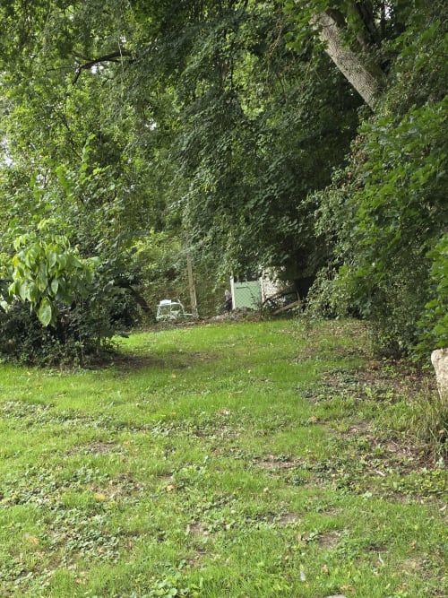 Clairière verdoyante au micro-camping Domaine Trianon à Villandry avec arbres matures et espace de détente extérieur