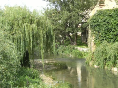 Vista pintoresca del río entre sauces llorones y muros cubiertos de hiedra en Casas Rurales La Viña, Cuzcurrita de Río Tirón