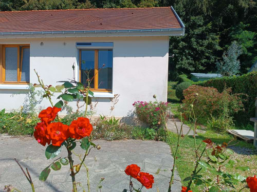Jardin cottage Les Tropiques avec roses rouges et terrasse à ART DE VOYAGER, Étretat