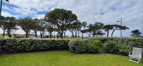 Jardin de l'appartement Mer et Maisons avec pelouse soignée, haies et arbres fouettés par le vent dominant sur La Trinité-sur-Mer