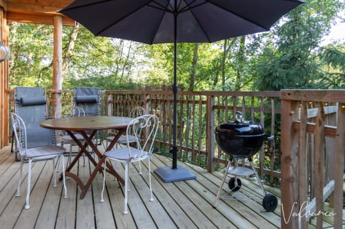 L'espace terrasse et son barbecue.