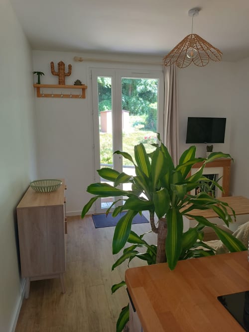 Salon de cottage moderne avec plante en pot, mobilier en bois, téléviseur écran plat et vue sur jardin par portes vitrées