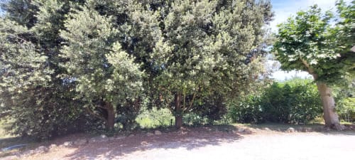 Shaded garden area with mature trees at Les Gites de Campardon, Monties, France