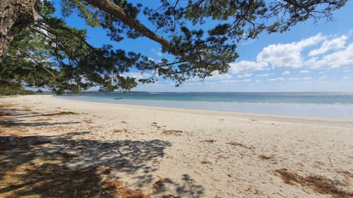 Sandy beach with turquoise sea and pine tree shade at Cap Coz, La Fôret-Fouesnant, Brittany