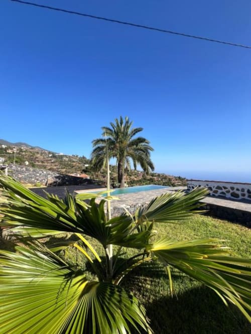 Villa con piscina, palmera y vistas al océano con vista al paisaje de La Palma bajo un cielo azul despejado