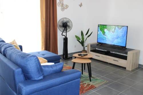 Séjour moderne avec canapé bleu, TV, ventilateur et plante en pot dans l'appartement T2 Hibiscus aux Maisons En Or, Cayenne