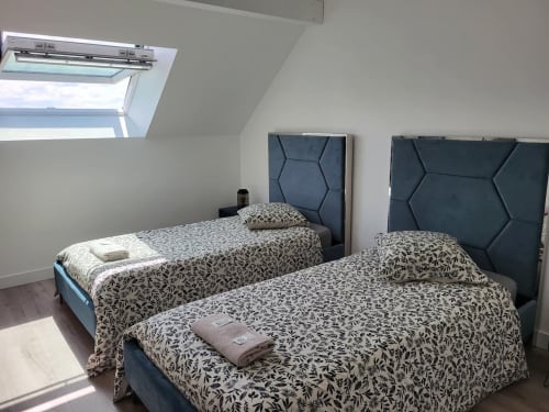 Chambre twin aux Gîtes Les Camélias à Oslon, avec literie motifs, têtes de lit foncées, puits de lumière et vue sur le jardin