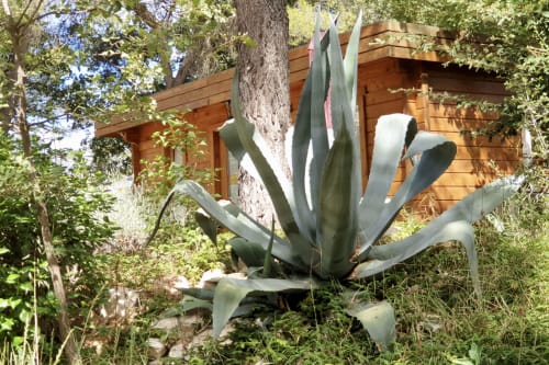 Location chalet 2 personnes - Aubagne | Chambres d'hôtes et gîtes Le Leaou
