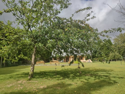 Spacieux jardin verdoyant du Domaine du Verger en Auge avec arbres matures et maison en briques en arrière-plan