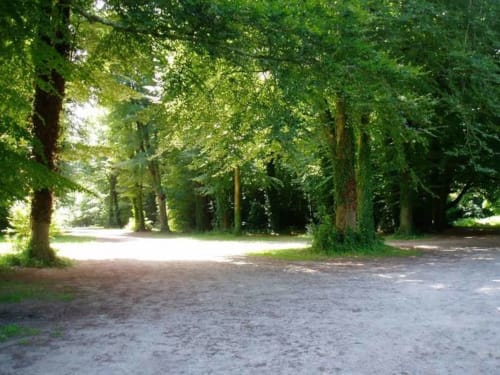 Allée de gravier bordée d'arbres au Petit Manoir de Kériolet, gîte à Concarneau, France