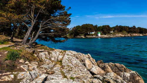 Littoral rocheux avec un arbre noueux au Petit Manoir de Kériolet, Concarneau, France
