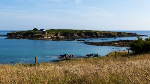 Vue côtière de Concarneau avec bateaux près d'une rive herbeuse et d'une île aux bâtiments