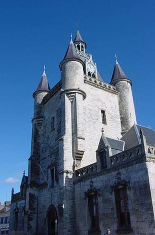 Château médiéval en pierre avec tourelles à La Cour d'Hortense B&B à Sailly-Flibeaucourt, France