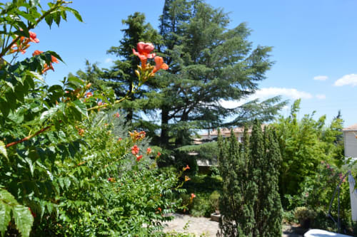 Blühender Garten der Villa Thébaïde mit roten Blüten, Zypressen und Ausblicken auf die Landschaft von Laudun L'Ardoise