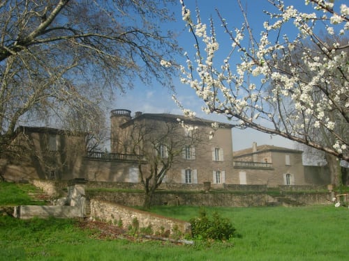 Castello del Domaine di Lamartine con alberi in fiore e giardini rigogliosi a Pont-Saint-Esprit, Francia