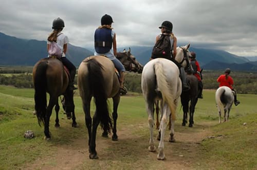 Group horseback riding through countryside near Domaine de Lamartine, Pont-Saint-Esprit