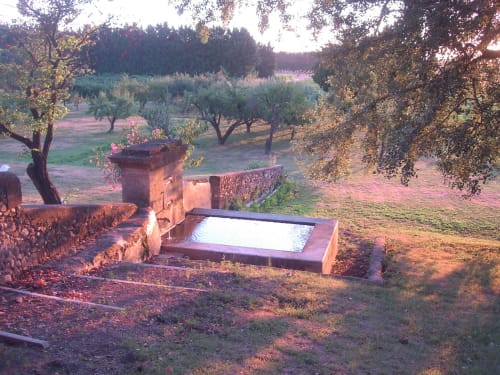 Specchio d'acqua sereno nel giardino d'ulivi del Domaine de Lamartine, Pont-Saint-Esprit