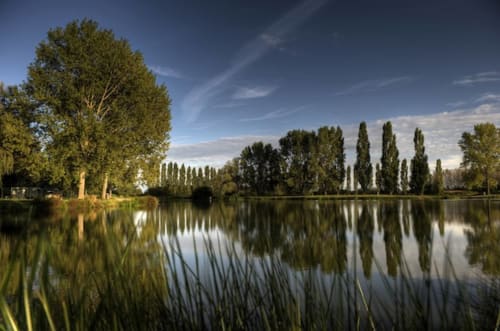 Serene riverside view at Maison Addama B&B in Neyron, France with poplar trees and reflections in calm water