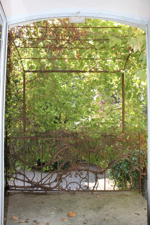 Rustic iron garden gate with climbing vines and lush green foliage at Domaine de Lamartine, Pont-Saint-Esprit