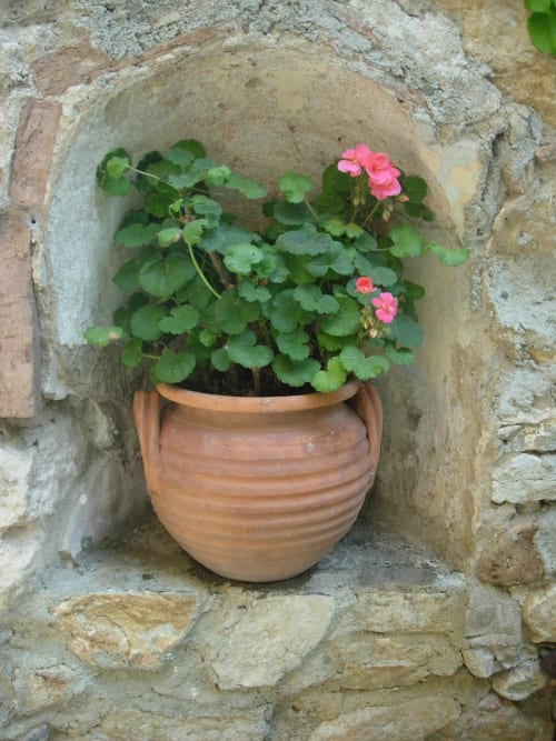 Vaso in terracotta con gerani rosa e fogliame verde in una nicchia di pietra al Domaine de Lamartine, Pont-Saint-Esprit