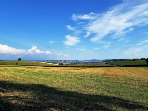Champs agricoles vallonnés avec montagnes et ciel bleu au Domaine de La Serita à Joze, France