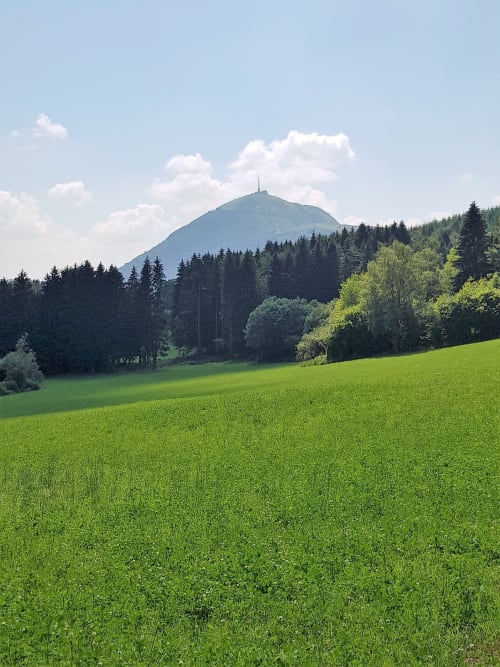 Vue pittoresque d'une montagne conique entourée de forêts et d'une prairie verdoyante près du Domaine de La Serita à Joze, France